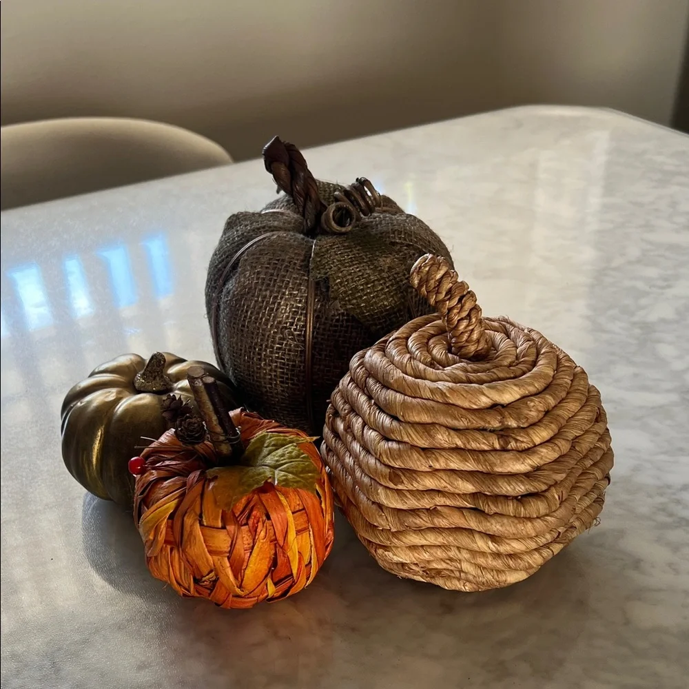 Target Rustic Pumpkin Decor bundle Set - Gold, Brown, Orange